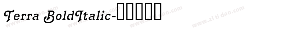 Terra BoldItalic字体转换